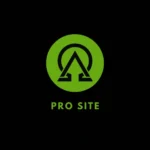 Professional Website