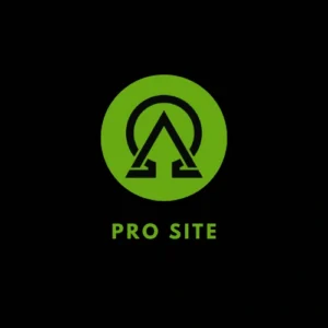 Professional Website