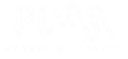 PLIM-Agency-Logo-Transparent